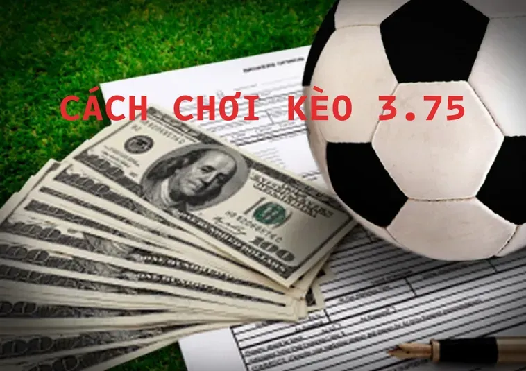 Kèo 3.75 Tại BongDaLu Bí Quyết Bắt Trọn Siêu Phẩm Bàn Thắng Đỉnh Cao