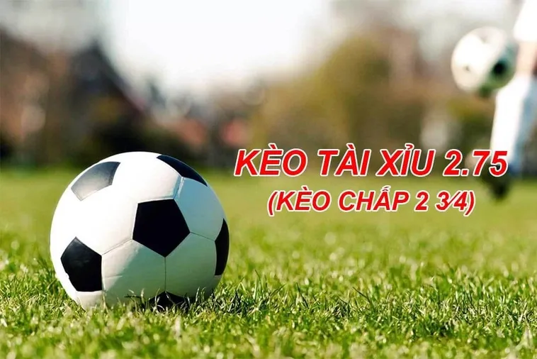 Kèo 2.75 Tại BongDaLu Cơ Hội Vàng Để Chinh Phục Chiến Thắng Bùng Nổ
