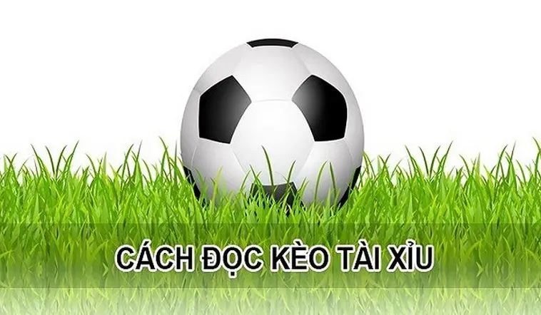 Chiến Thuật Đặt Kèo Tài Xỉu Tại BongDaLu Cho Người Chơi Thắng Lớn