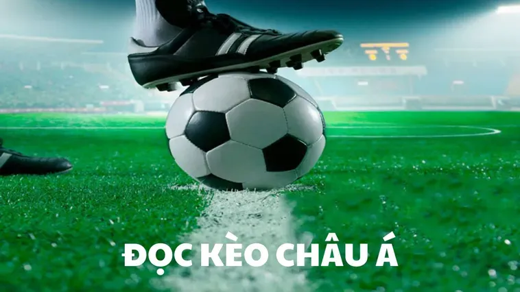 Bí Quyết Chinh Phục Kèo Châu Á Tại BongDaLu Với Lợi Nhuận Khủng Nhất