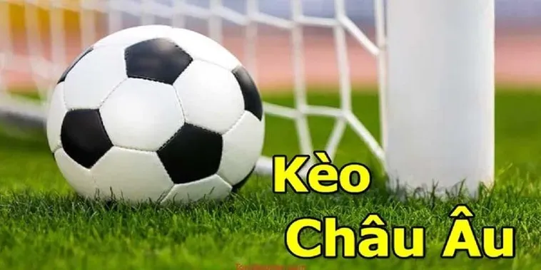 Trải Nghiệm Đỉnh Cao Tỷ Lệ Kèo Châu Âu Tại BongDaLu Cho Người Chơi