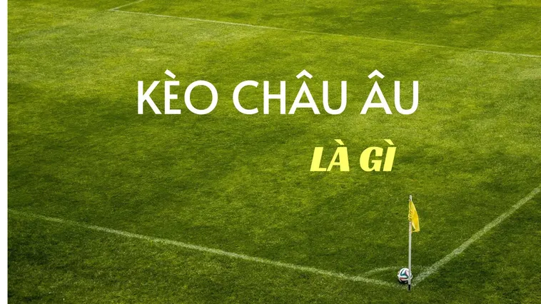 Trải Nghiệm Đỉnh Cao Tỷ Lệ Kèo Châu Âu Tại BongDaLu Cho Người Chơi