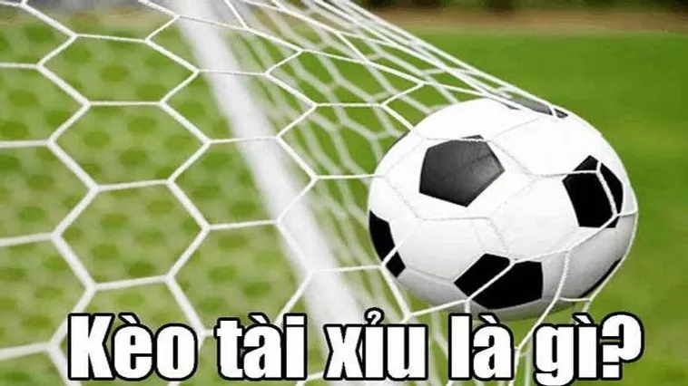 Kèo Tài Xỉu Bóng Đá Tại BongDaLu Cơ Hội Vàng Chinh Phục Chiến Thắng