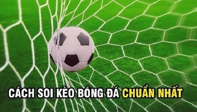 Bí Quyết Chinh Phục Kèo Rung Trong Bóng Đá Tại BongDaLu Cực Đỉnh
